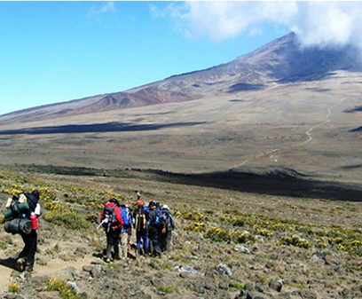  Mountain Kilimanjaro Trekking cost W/Prices