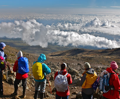 2023-2024 Best Kilimanjaro Trekking Expeditions from UK London 