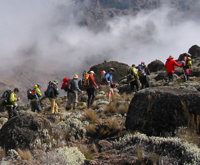 Top 9 (Best) Mount Kilimanjaro Tour Packages 