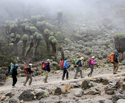 Top 9 (Best) Mount Kilimanjaro Tour Packages 