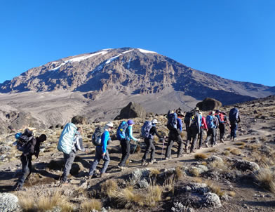 Kilimanjaro Lemosho Route 8 to 9 Days Itinerary 