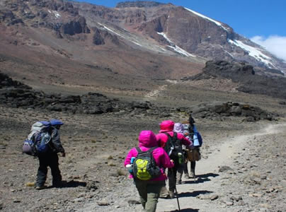 Rongai Route Kilimanjaro Success Rate