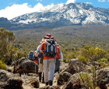 Umbwe Route Kilimanjaro Success Rate in Tanzania
