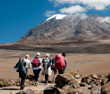 Rongai Route Kilimanjaro Success Rate