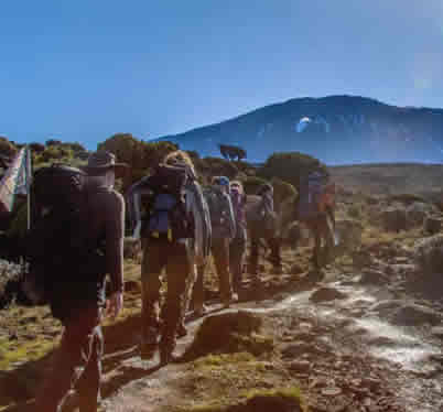 Umbwe Route Kilimanjaro Success Rate in Tanzania